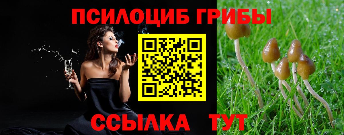 Галлюциногенные грибы прущие грибы  Вход с VPN  Мытищи 