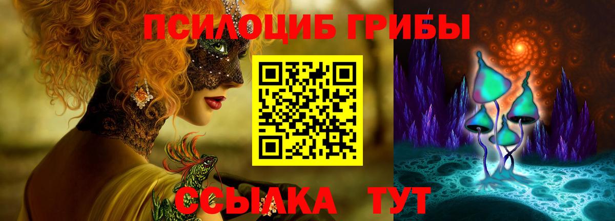 Галлюциногенные грибы Psilocybe Мытищи